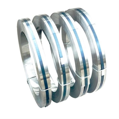 L'acier inoxydable perforé de ressort a perforé la bande 2mm 4mm 6mm